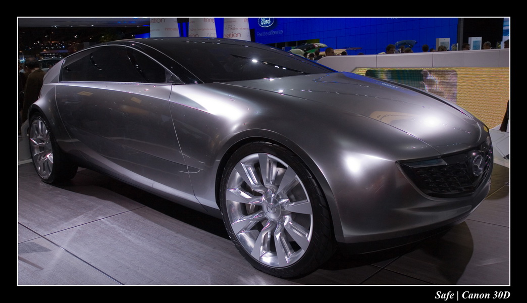 2006 - 10 - Mondial auto Paris 348